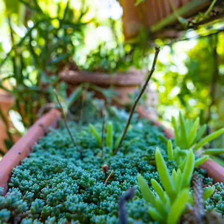 Adam Garden דירה *