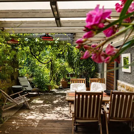 Adam Garden